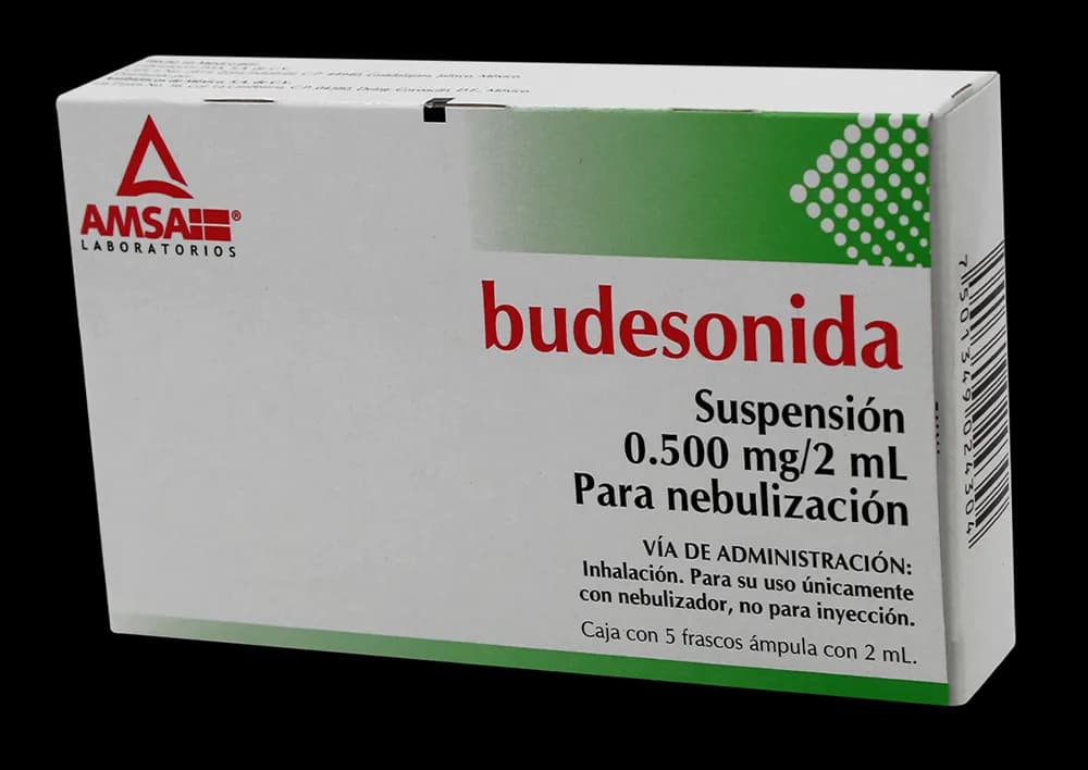 BUDESONIDA 1 susp para nebulización 5 amp 0.500MG/ 2mL