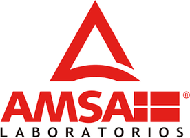 Amsa Amsa