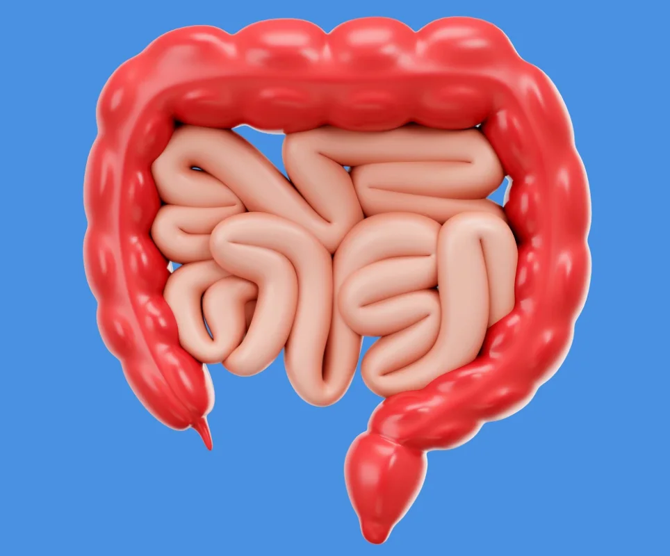 Abdomen inflamado