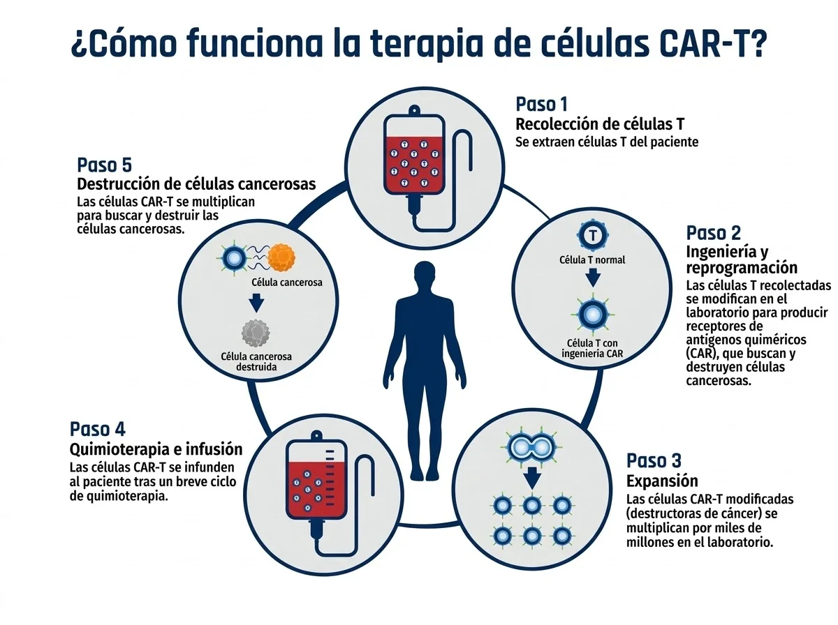 Proceso de la terapia Car-T